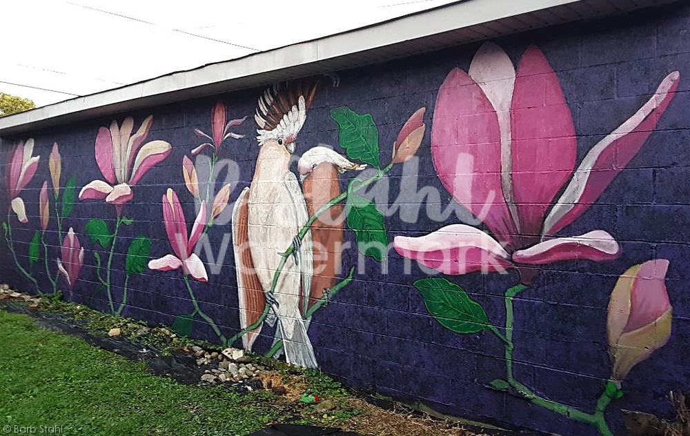 //stahlstudios.com/wp-content/uploads/2022/06/Bird-and-flower-mural.jpg