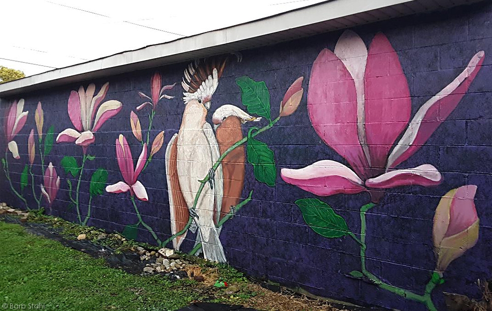 //stahlstudios.com/wp/wp-content/uploads/2022/06/Bird-and-flower-mural.jpg