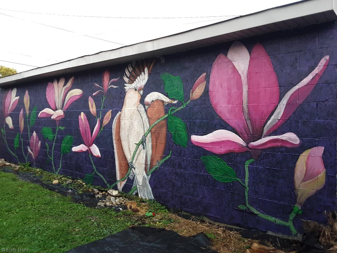Birda and flowers mural